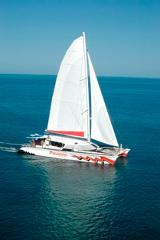 2 Day Reef, Daintree Rainforest & Aboriginal Culture tour – Passions of Paradise